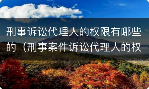 刑事诉讼代理人的权限有哪些的（刑事案件诉讼代理人的权限）