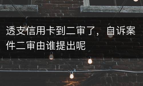 透支信用卡到二审了，自诉案件二审由谁提出呢