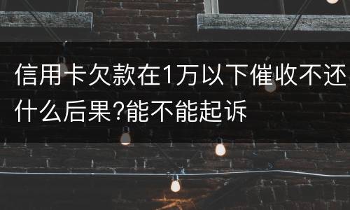 信用卡欠款在1万以下催收不还什么后果?能不能起诉