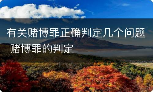 有关赌博罪正确判定几个问题 赌博罪的判定