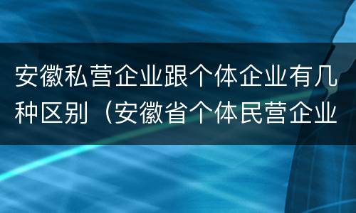 安徽私营企业跟个体企业有几种区别（安徽省个体民营企业协会官网）