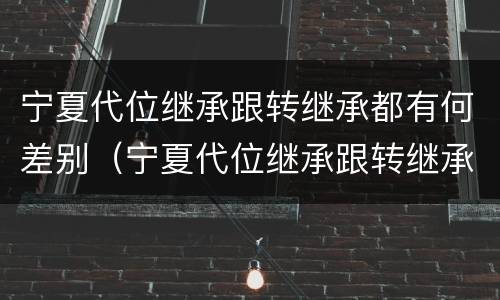 宁夏代位继承跟转继承都有何差别（宁夏代位继承跟转继承都有何差别呢）
