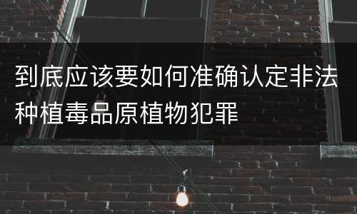 到底应该要如何准确认定非法种植毒品原植物犯罪