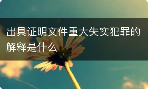 出具证明文件重大失实犯罪的解释是什么