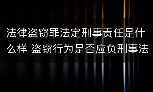 法律盗窃罪法定刑事责任是什么样 盗窃行为是否应负刑事法律责任