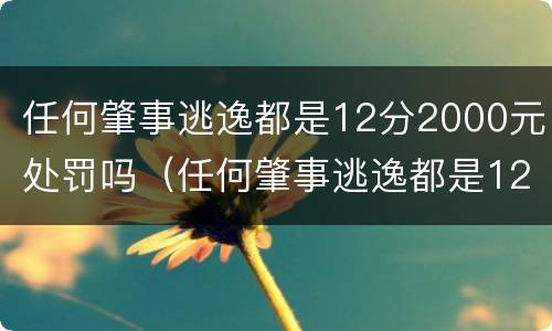 任何肇事逃逸都是12分2000元处罚吗（任何肇事逃逸都是12分2000元处罚吗）