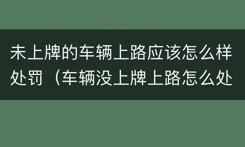 未上牌的车辆上路应该怎么样处罚（车辆没上牌上路怎么处罚）