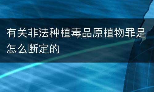 有关非法种植毒品原植物罪是怎么断定的