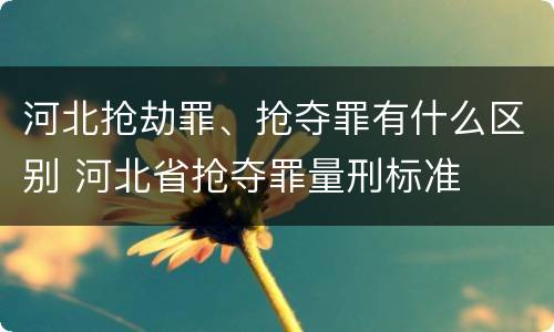 河北抢劫罪、抢夺罪有什么区别 河北省抢夺罪量刑标准
