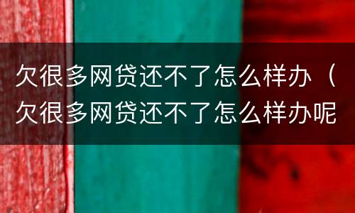 欠很多网贷还不了怎么样办（欠很多网贷还不了怎么样办呢）