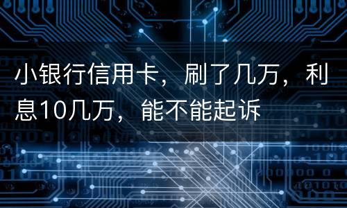 小银行信用卡，刷了几万，利息10几万，能不能起诉