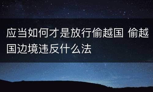 应当如何才是放行偷越国 偷越国边境违反什么法