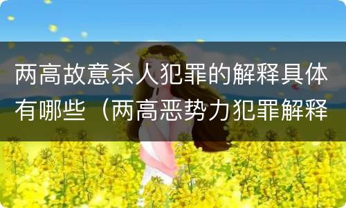 两高故意杀人犯罪的解释具体有哪些（两高恶势力犯罪解释）