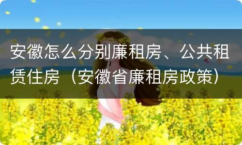 安徽怎么分别廉租房、公共租赁住房（安徽省廉租房政策）