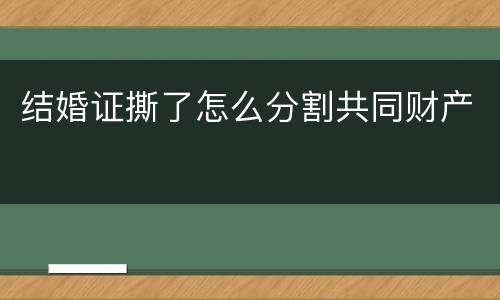 结婚证撕了怎么分割共同财产