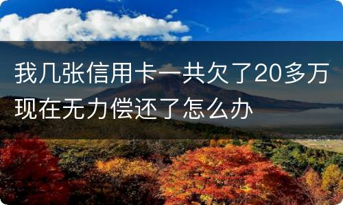 我几张信用卡一共欠了20多万现在无力偿还了怎么办