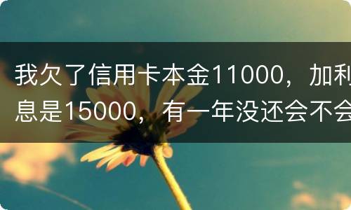 我欠了信用卡本金11000，加利息是15000，有一年没还会不会被案