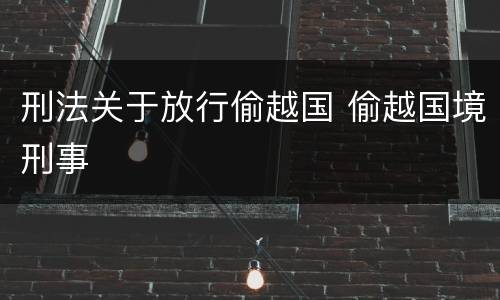 刑法关于放行偷越国 偷越国境刑事