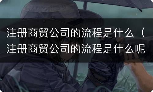 注册商贸公司的流程是什么（注册商贸公司的流程是什么呢）