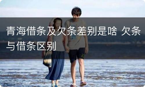青海借条及欠条差别是啥 欠条与借条区别