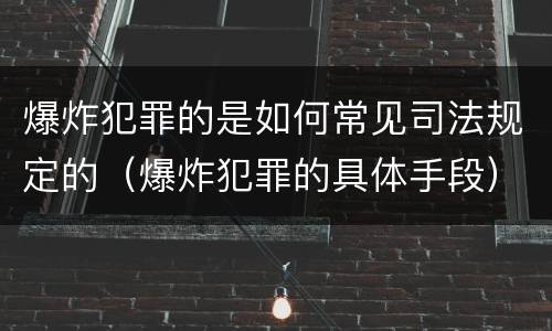 爆炸犯罪的是如何常见司法规定的（爆炸犯罪的具体手段）