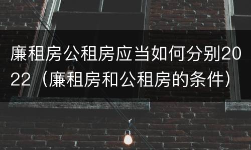 廉租房公租房应当如何分别2022（廉租房和公租房的条件）