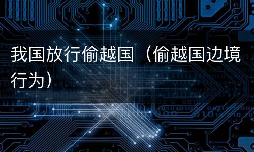 我国放行偷越国（偷越国边境行为）