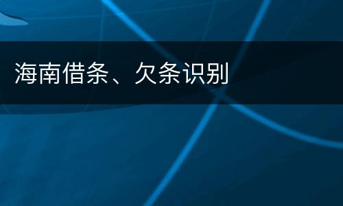海南借条、欠条识别