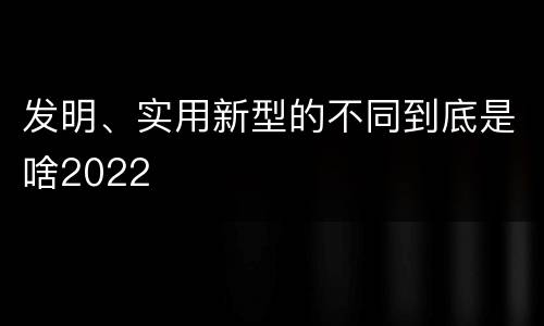 发明、实用新型的不同到底是啥2022