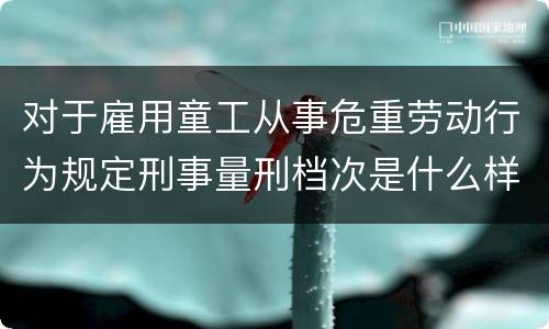 对于雇用童工从事危重劳动行为规定刑事量刑档次是什么样