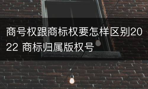 商号权跟商标权要怎样区别2022 商标归属版权号