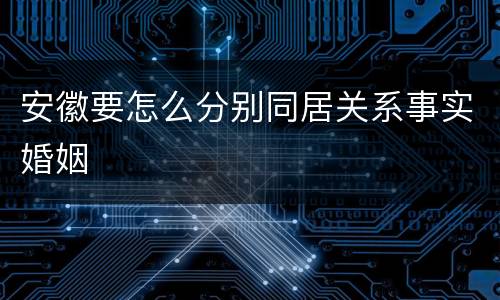 安徽要怎么分别同居关系事实婚姻