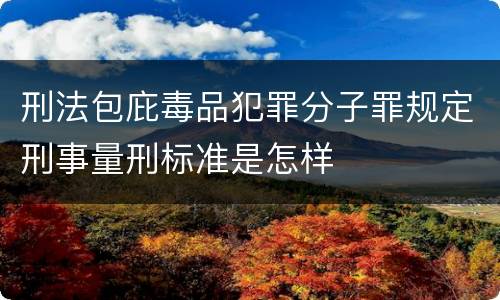 刑法包庇毒品犯罪分子罪规定刑事量刑标准是怎样
