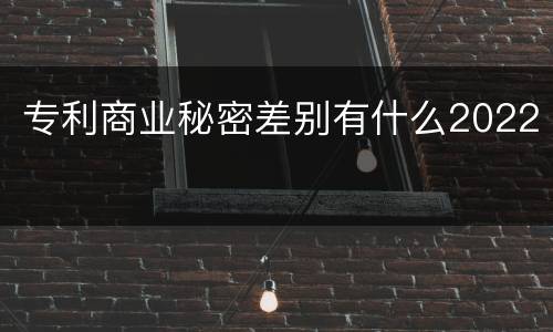 专利商业秘密差别有什么2022