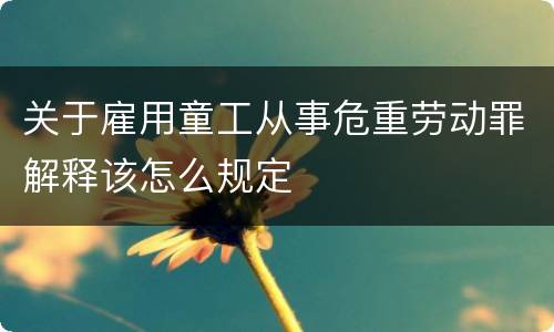 关于雇用童工从事危重劳动罪解释该怎么规定