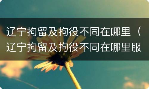 辽宁拘留及拘役不同在哪里（辽宁拘留及拘役不同在哪里服刑）