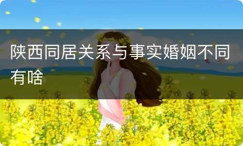 陕西同居关系与事实婚姻不同有啥