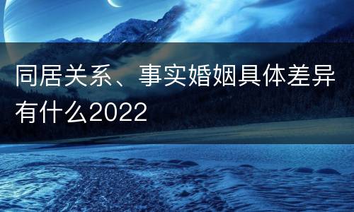 同居关系、事实婚姻具体差异有什么2022
