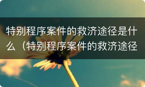 特别程序案件的救济途径是什么（特别程序案件的救济途径是什么意思）