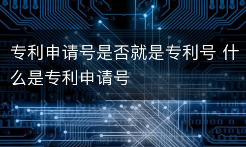 专利申请号是否就是专利号 什么是专利申请号