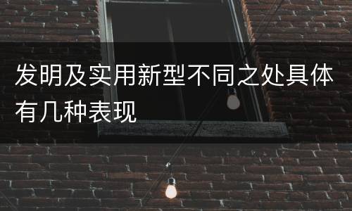 发明及实用新型不同之处具体有几种表现