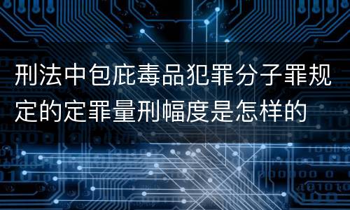 刑法中包庇毒品犯罪分子罪规定的定罪量刑幅度是怎样的
