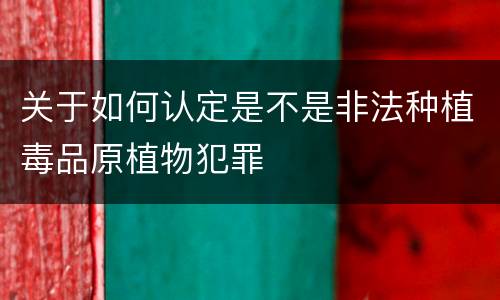 关于如何认定是不是非法种植毒品原植物犯罪