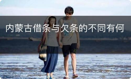 内蒙古借条与欠条的不同有何
