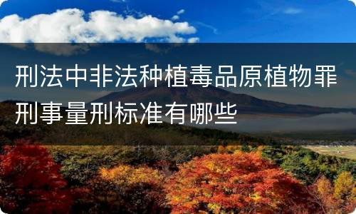 刑法中非法种植毒品原植物罪刑事量刑标准有哪些