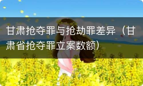 甘肃抢夺罪与抢劫罪差异（甘肃省抢夺罪立案数额）