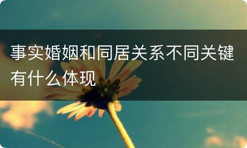 事实婚姻和同居关系不同关键有什么体现
