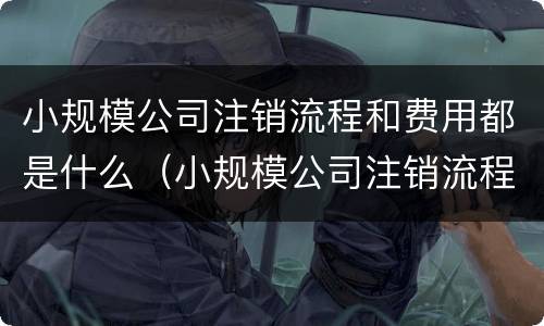 小规模公司注销流程和费用都是什么（小规模公司注销流程和费用都是什么流程）