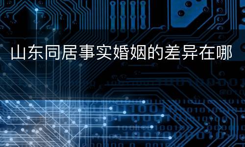 山东同居事实婚姻的差异在哪