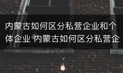 内蒙古如何区分私营企业和个体企业 内蒙古如何区分私营企业和个体企业